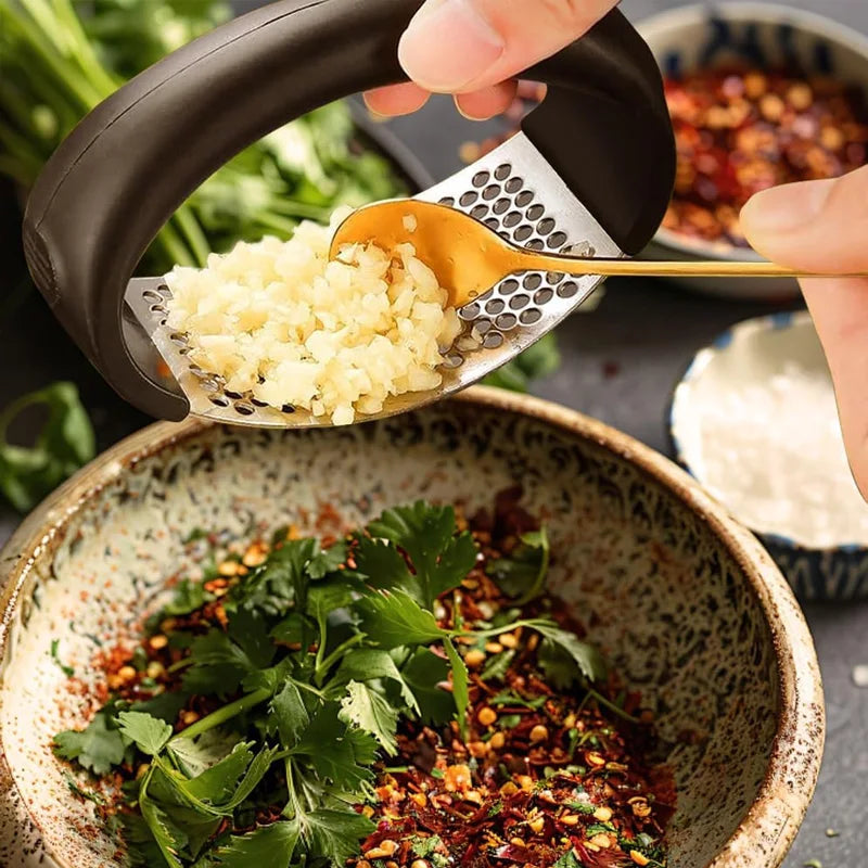 Stainless Steel Rocker Garlic Press