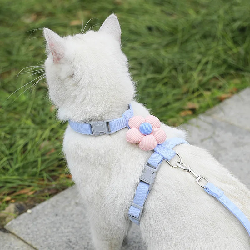 Adjustable Escape-Proof Cat Harness and Leash Walking Set
