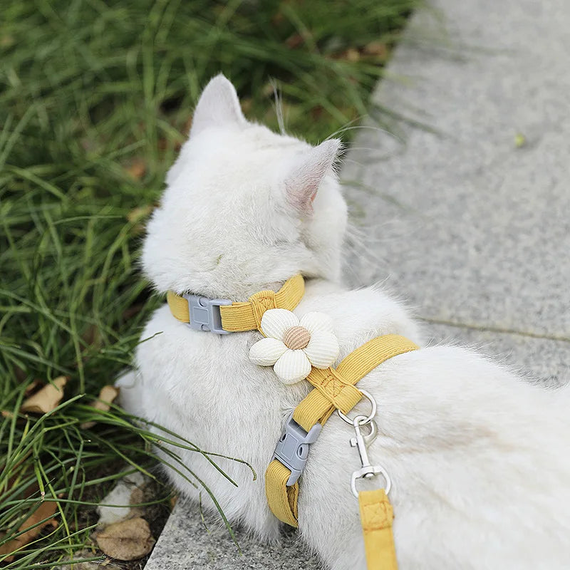 Adjustable Escape-Proof Cat Harness and Leash Walking Set