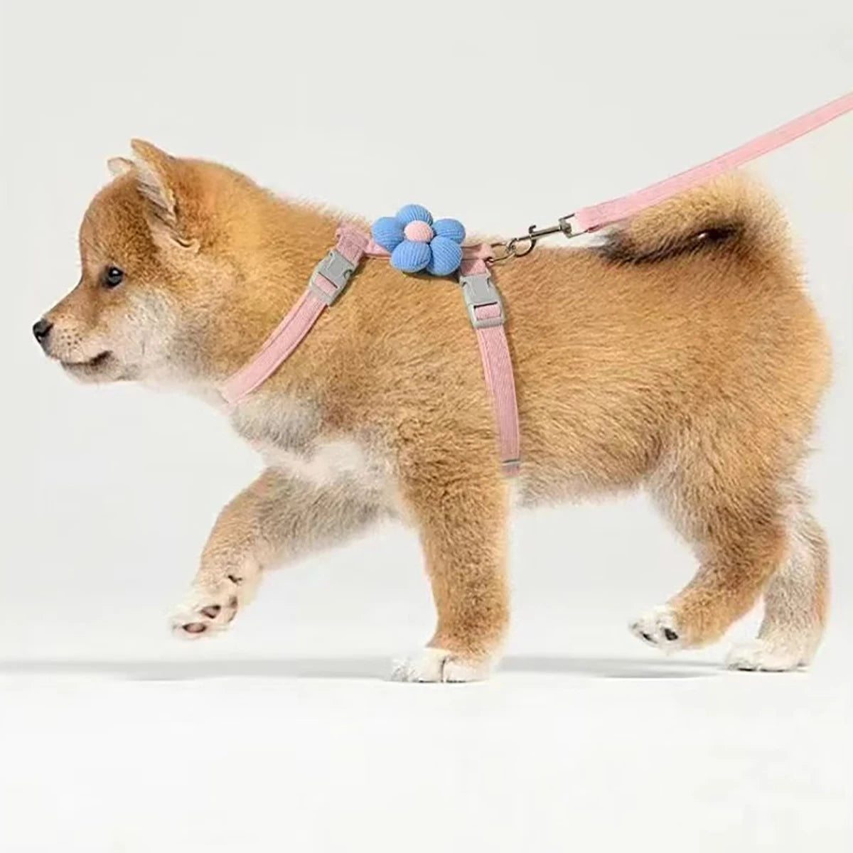 Adjustable Escape-Proof Cat Harness and Leash Walking Set