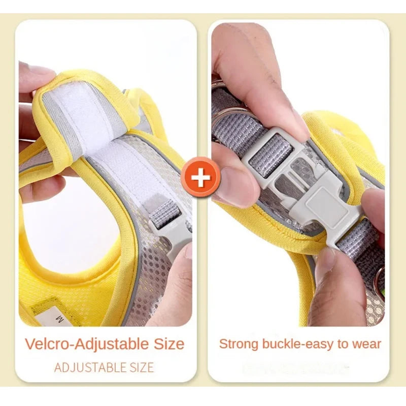 Reflective Breathable Mesh Pet Harness and Leash Set