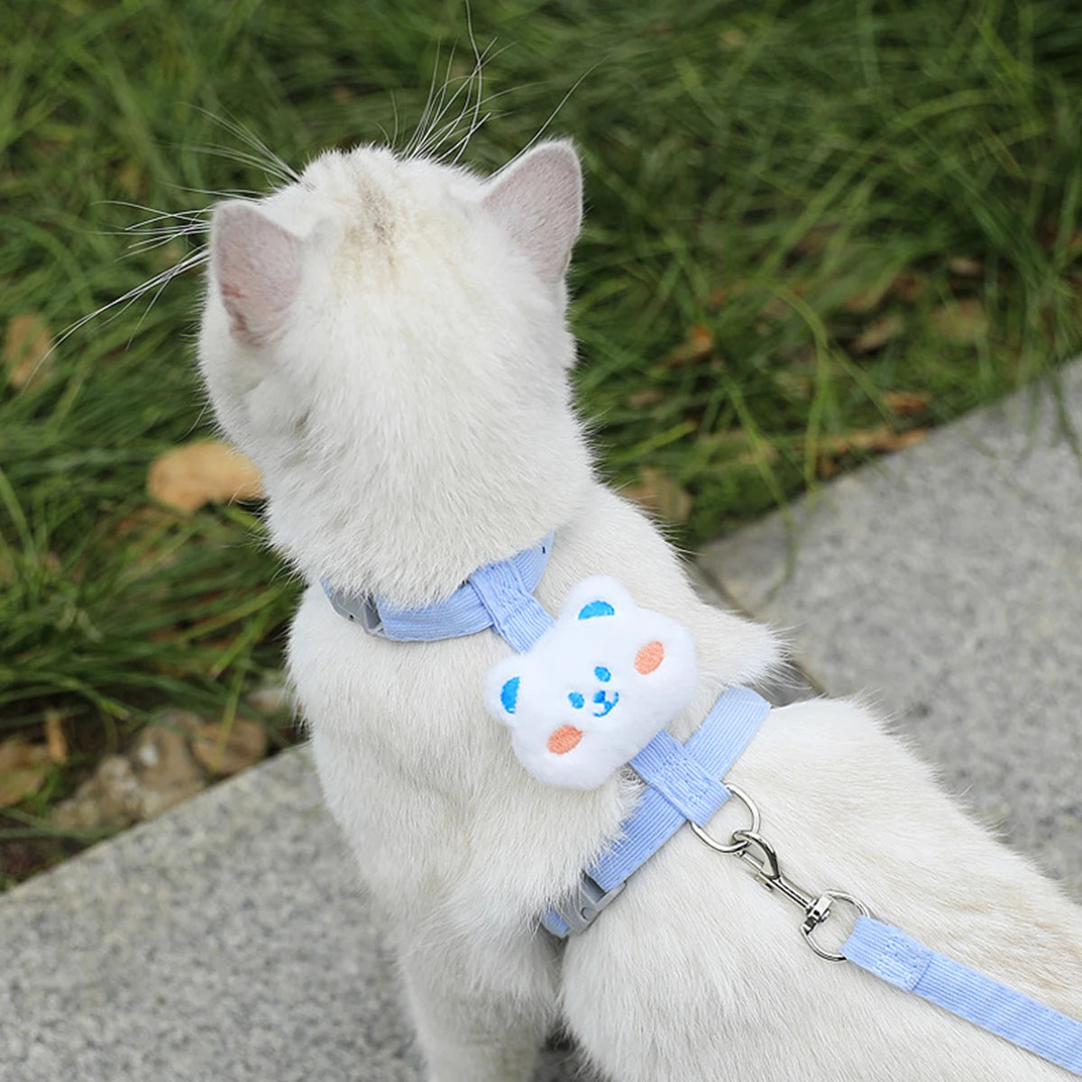 Adjustable Escape-Proof Cat Harness and Leash Walking Set