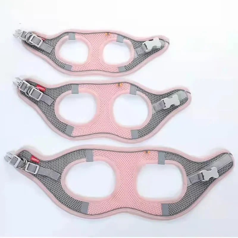 Reflective Breathable Mesh Pet Harness and Leash Set