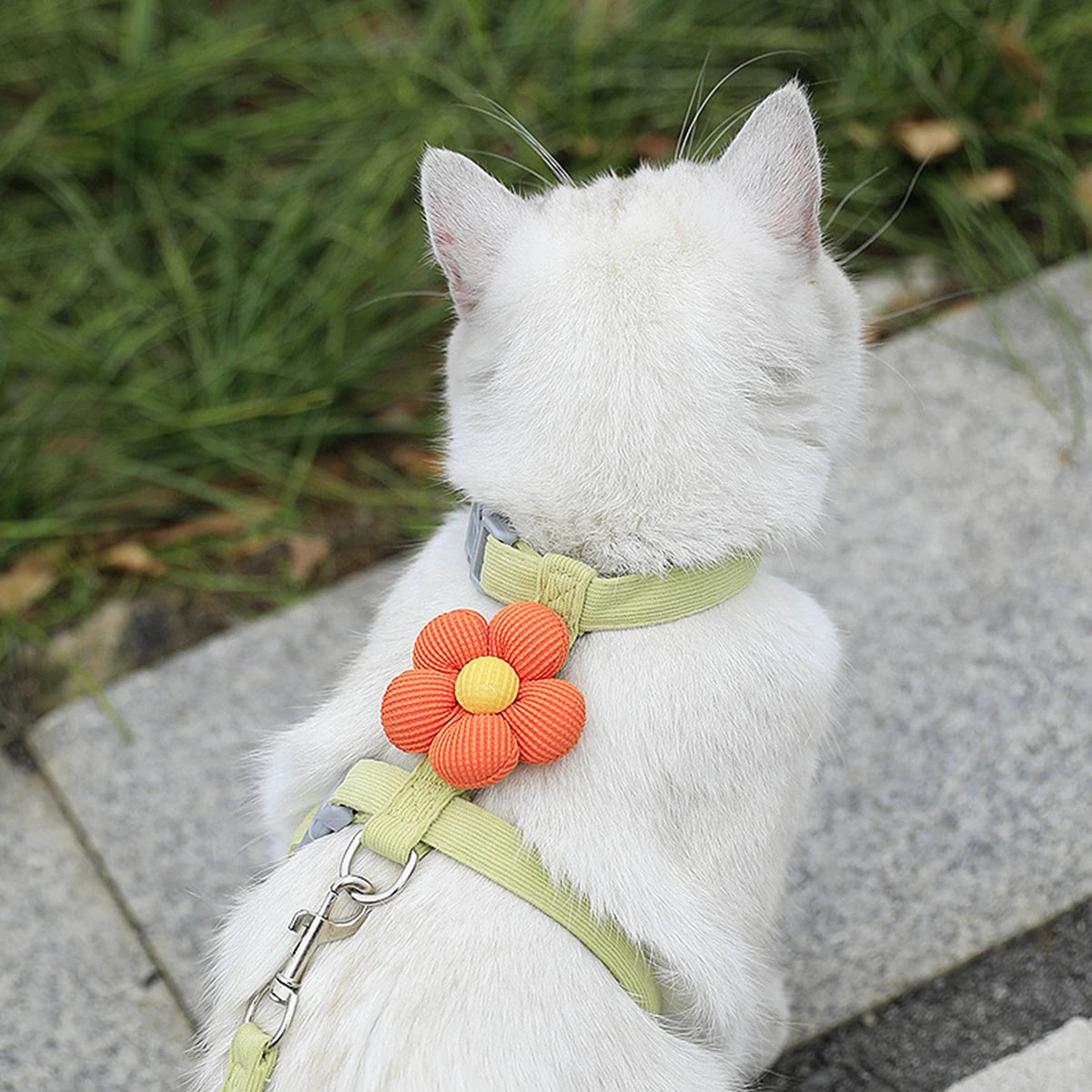 Adjustable Escape-Proof Cat Harness and Leash Walking Set