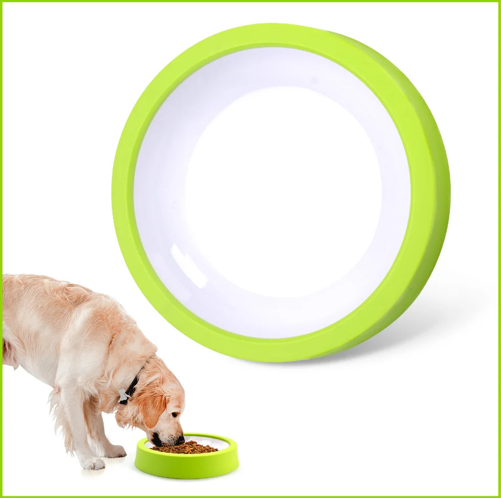 Non-Slip Slow Feeder Dog Bowl for Small to Large Breeds