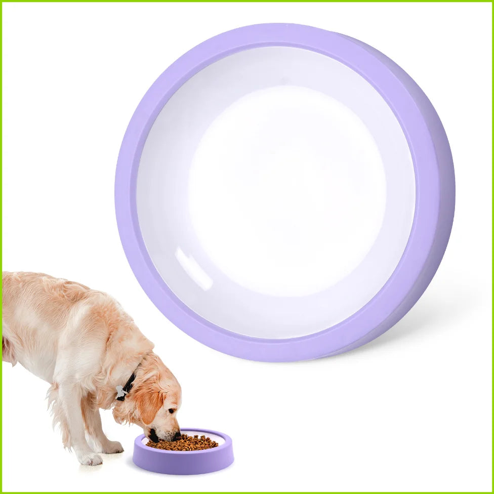 Non-Slip Slow Feeder Dog Bowl for Small to Large Breeds