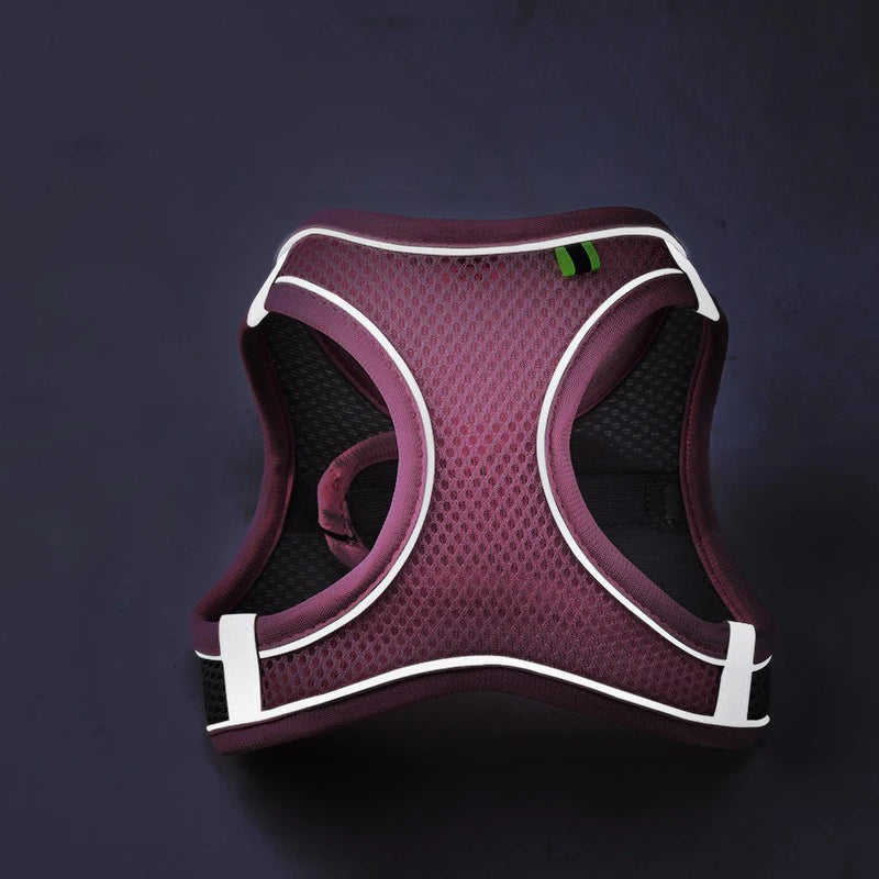 Reflective Breathable Mesh Pet Harness and Leash Set