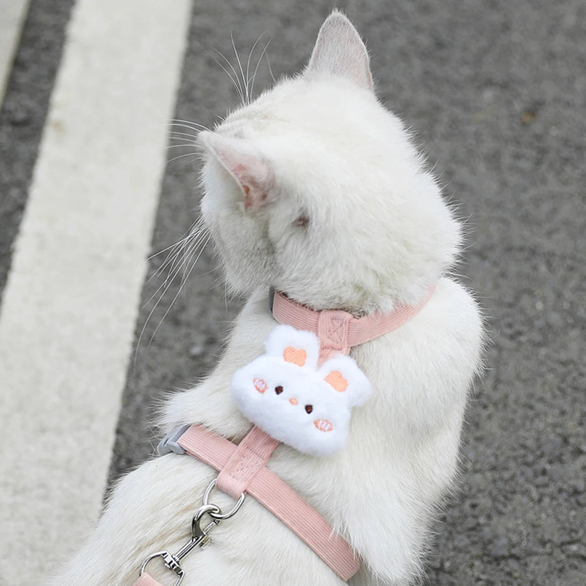 Adjustable Escape-Proof Cat Harness and Leash Walking Set